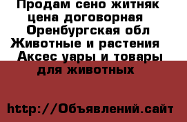 Продам сено житняк, цена договорная - Оренбургская обл. Животные и растения » Аксесcуары и товары для животных   